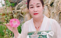 女女开车车好快的车车